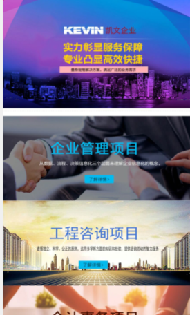 凯文企业&笛扬会计